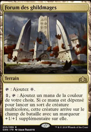 Forum des ghildmages