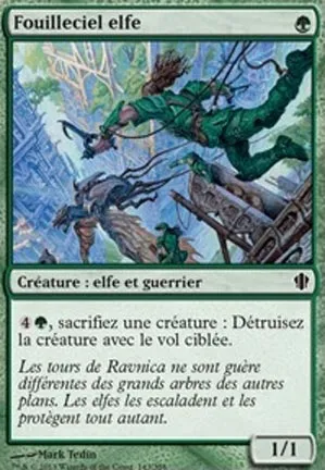 Fouilleciel elfe