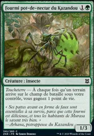 Fourmi pot-de-nectar du Kazandou