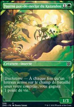 Fourmi pot-de-nectar du Kazandou