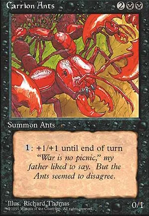 Fourmis charognardes