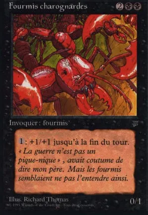 Fourmis charognardes