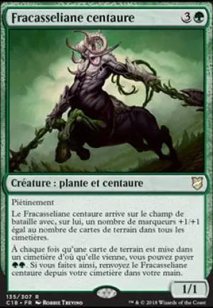 Fracasseliane centaure