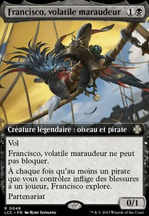 Francisco, volatile maraudeur