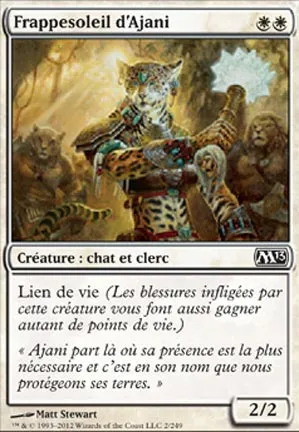 Frappesoleil d'Ajani