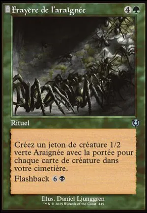 Frayère de l'araignée