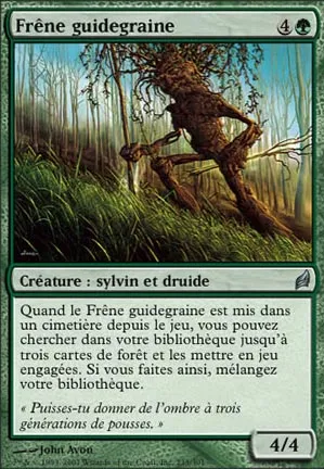 Frêne guidegraine