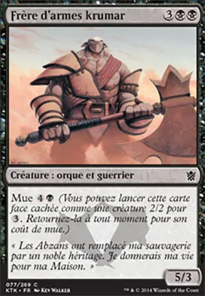 Frère d'armes krumar