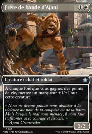 Frère de bande d'Ajani