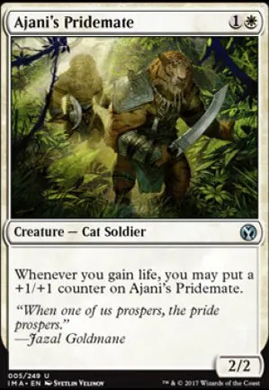 Frère de bande d'Ajani