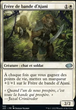 Frère de bande d'Ajani