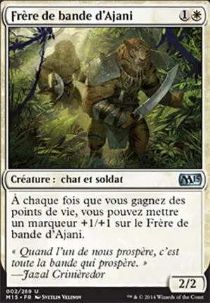 Frère de bande d'Ajani