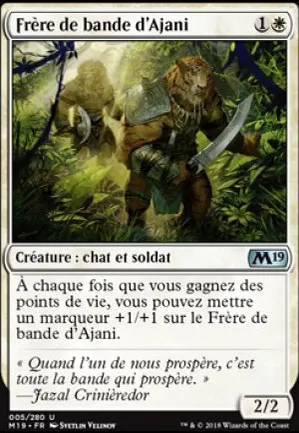 Frère de bande d'Ajani