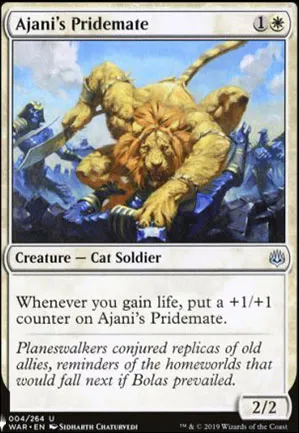 Frère de bande d'Ajani