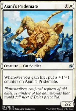 Frère de bande d'Ajani