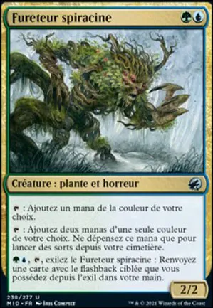 Fureteur spiracine