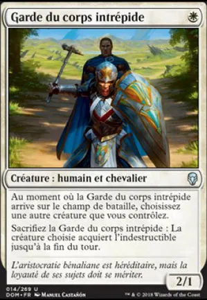 Garde du corps intrépide
