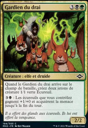 Gardien du drai
