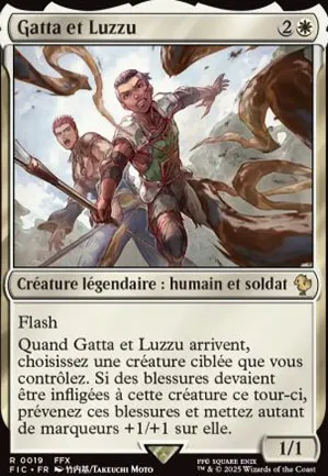 Gatta et Luzzu