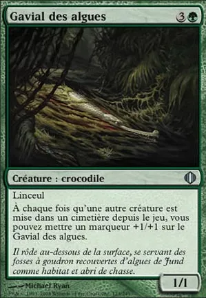 Gavial des algues