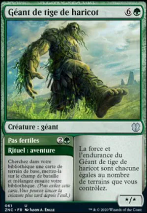Géant de tige de haricot // Pas fertiles