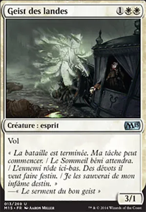 Geist des landes