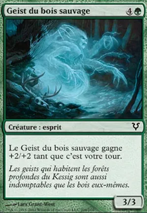 Geist du bois sauvage