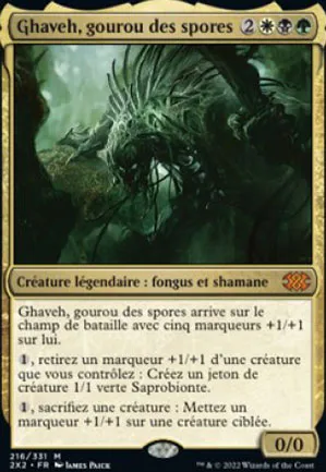 Ghaveh, gourou des spores