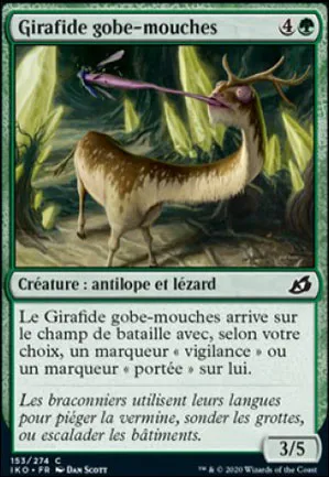 Girafide gobe-mouches