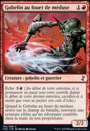 Gobelin au fouet de méduse
