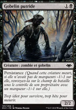 Gobelin putride