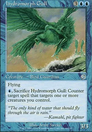Goéland hydromorphe