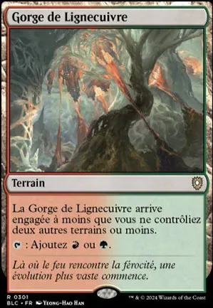 Gorge de Lignecuivre