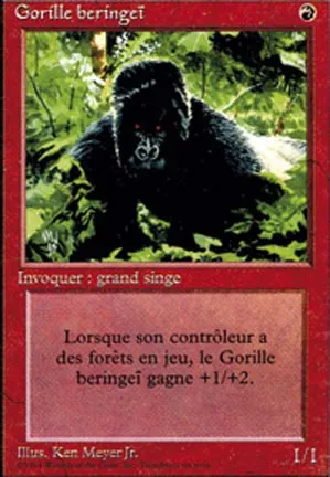 Gorille beringeï