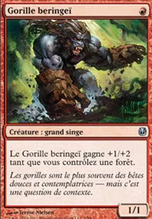 Gorille beringeï