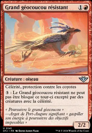 Grand géocoucou résistant