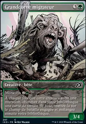 Grandcorne migrateur