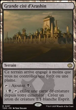 Grande cité d'Arashin