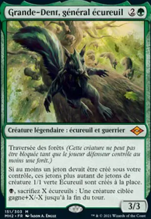 Grande-Dent, général écureuil
