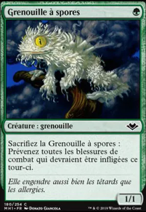 Grenouille à spores