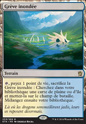 Grève inondée