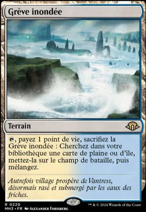 Grève inondée
