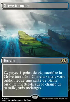 Grève inondée