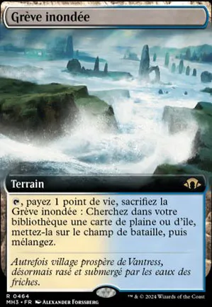 Grève inondée
