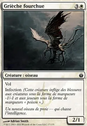 Grièche fourchue