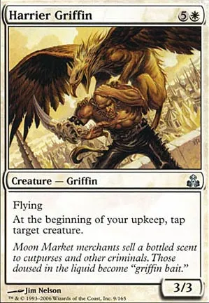 Griffon busard