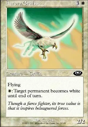 Griffon de l'aurore