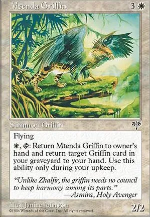 Griffon de la Mtenda