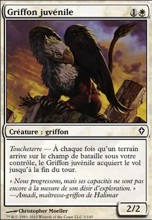 Griffon juvénile