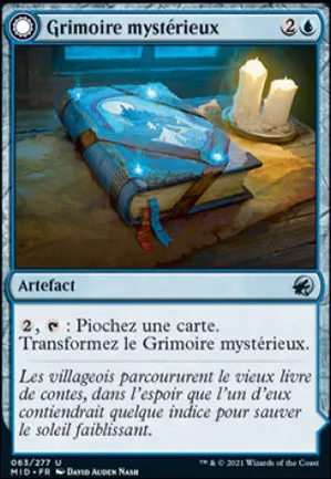 Grimoire mystérieux // Chronique effrayante